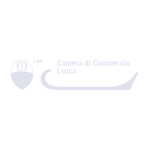 CAMERA COMMERCIO